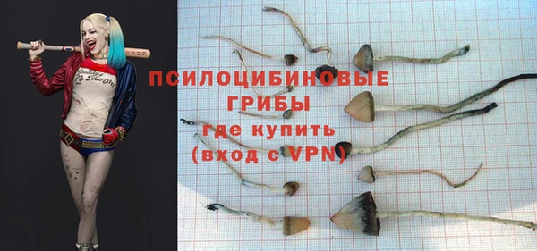 мет Нефтекумск