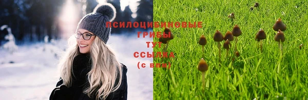 apvp Надым