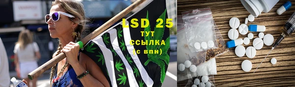 PSILOCYBIN Наволоки