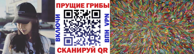 продажа наркотиков  Кимовск  Псилоцибиновые грибы MAGIC MUSHROOMS 