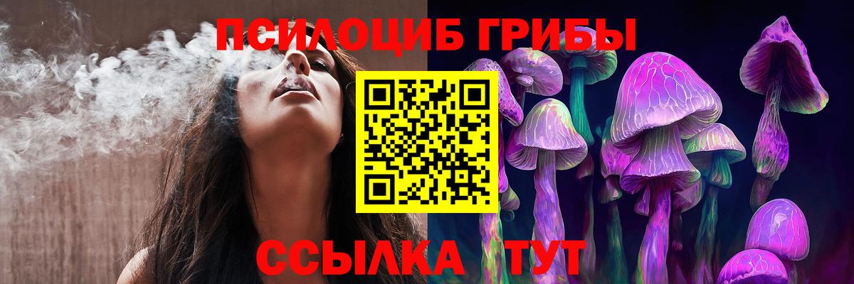 сколько стоит  Галлюциногенные грибы Psilocybe  Вход с VPN  Кимовск 