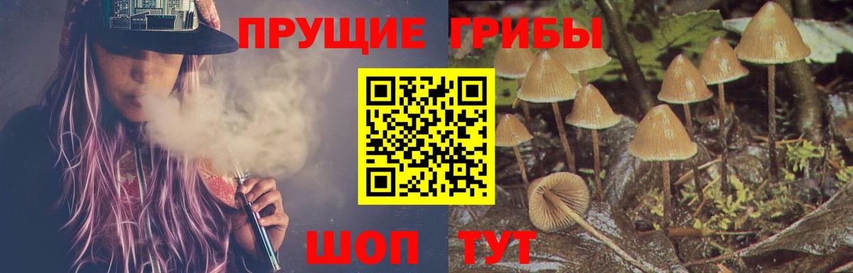 Псилоцибиновые грибы мицелий Кимовск